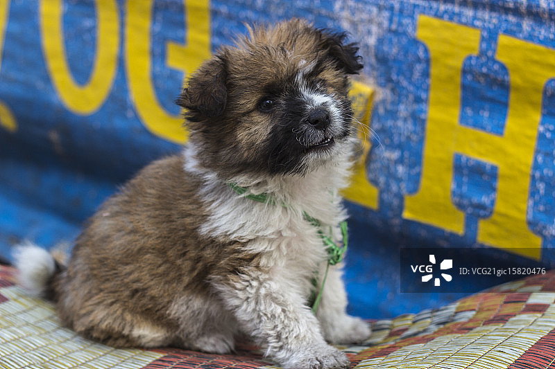 可爱瞬间图片素材