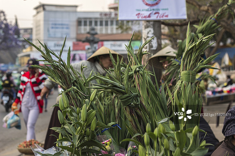 绿色捆绑物图片素材