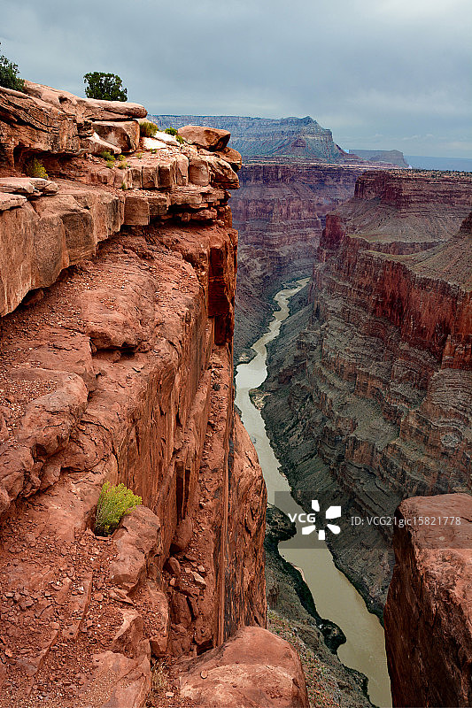 托罗韦普图片素材