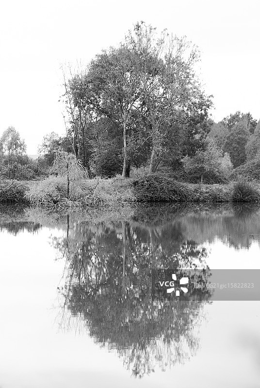 哪个最漂亮？图片素材