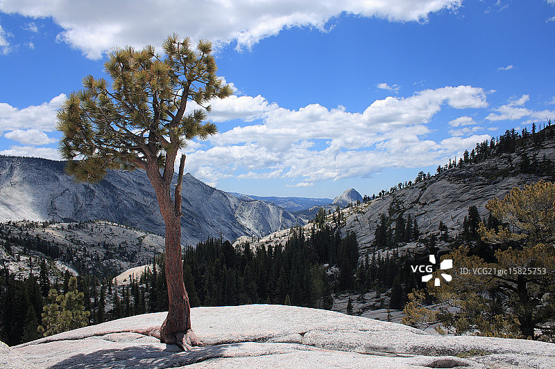 奥姆斯特德角图片素材