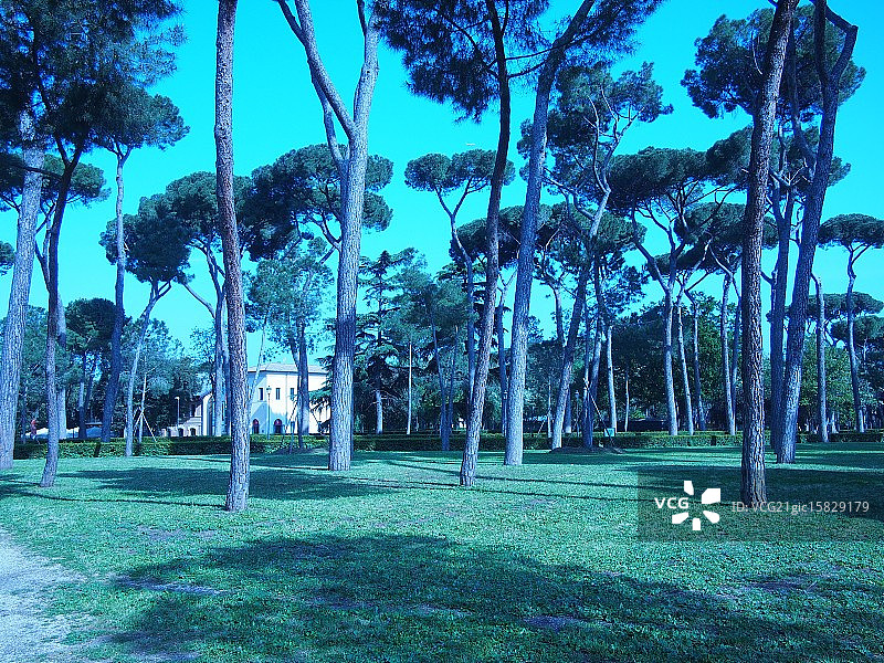 博尔盖塞别墅图片素材