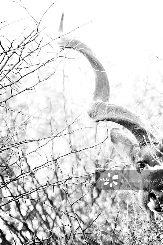 不管怎样,图片素材