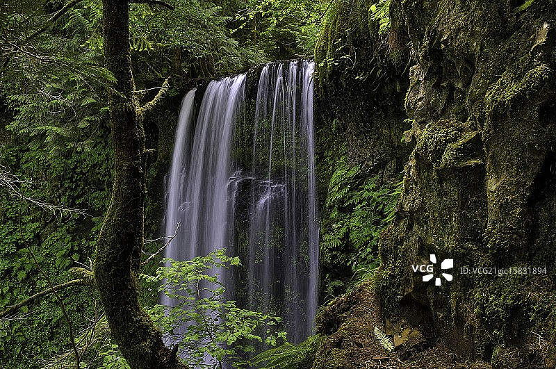 隐藏的埃科拉瀑布图片素材