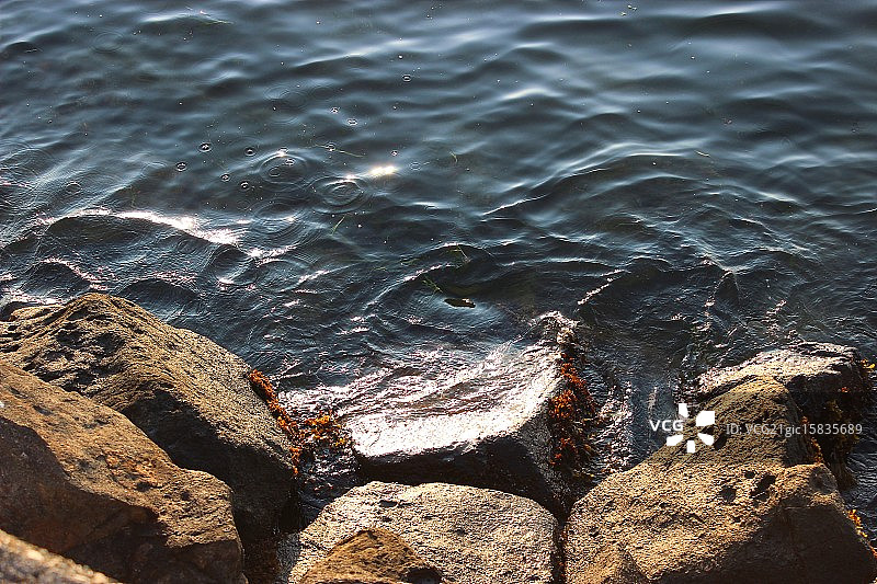 阿尔基海滩图片素材