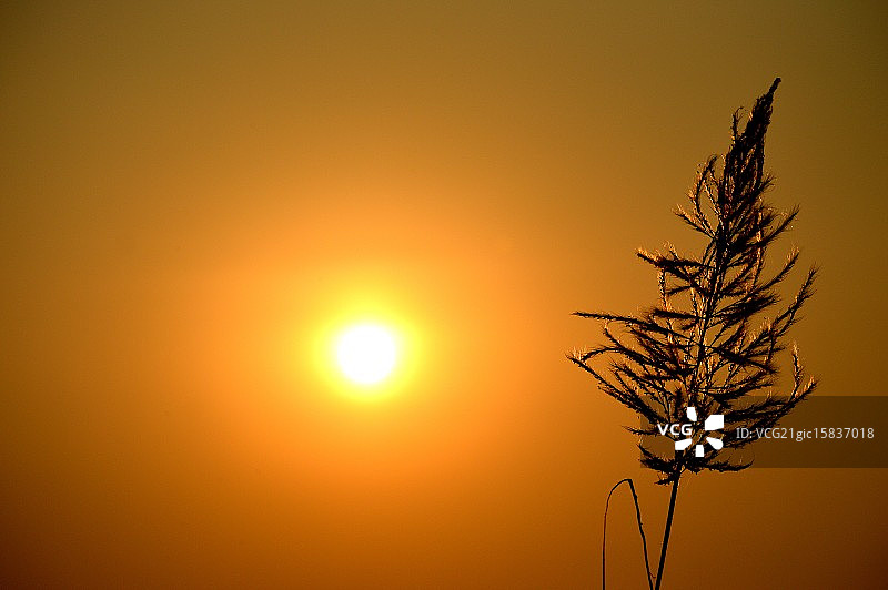 我不是孤单一人图片素材