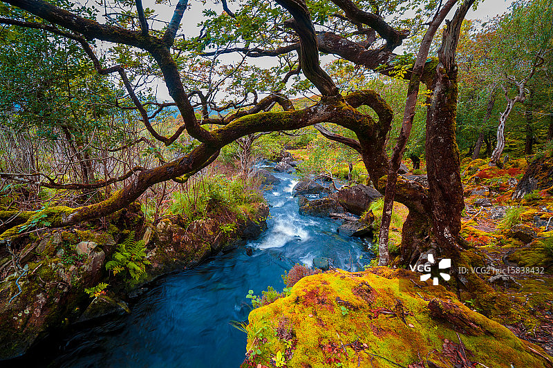 爱尔兰基拉尼国家公园图片素材