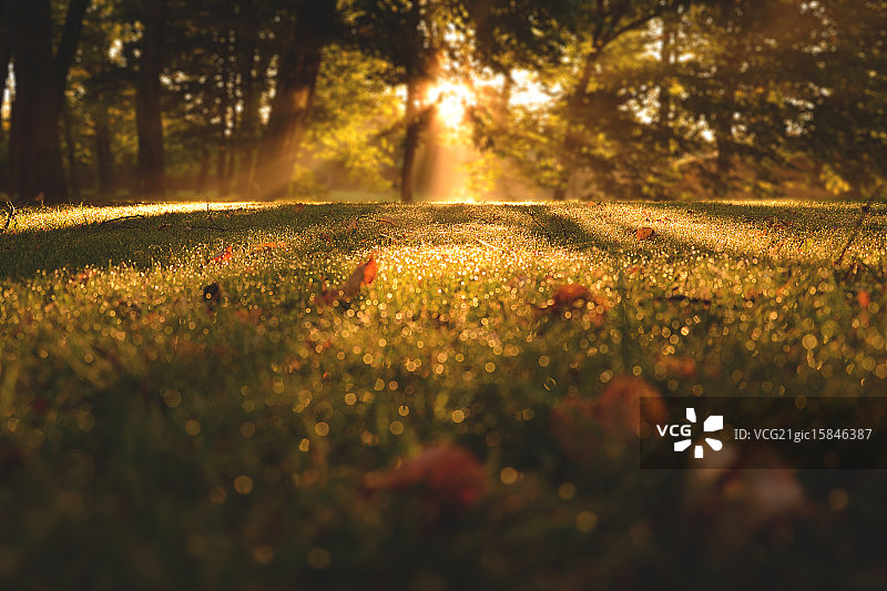 早起的奖励图片素材