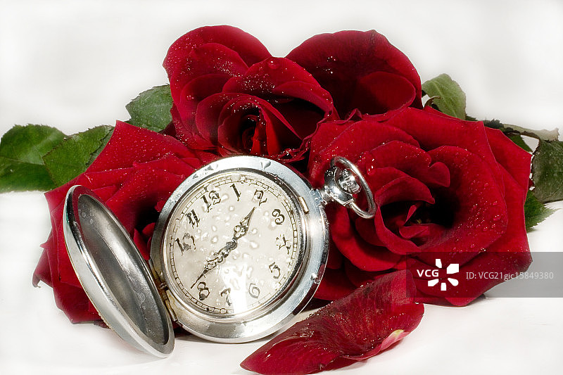 爱恋之时图片素材