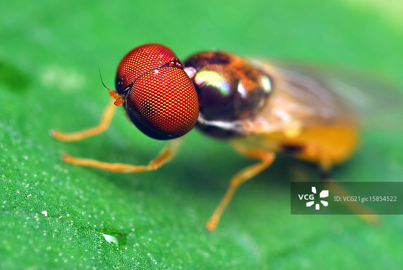 麦克风测试图片素材