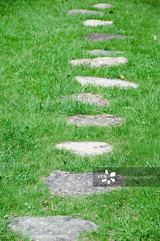 草地上的踏脚石图片素材