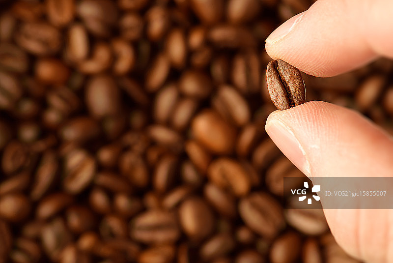 天选之子图片素材