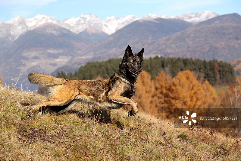秋季印象图片素材