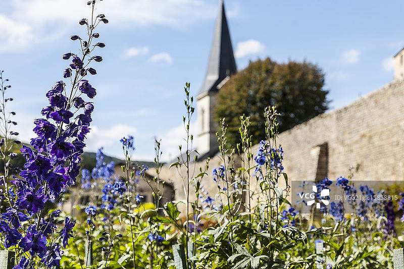 勃艮第酒红色图片素材