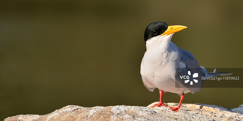 特恩河图片素材