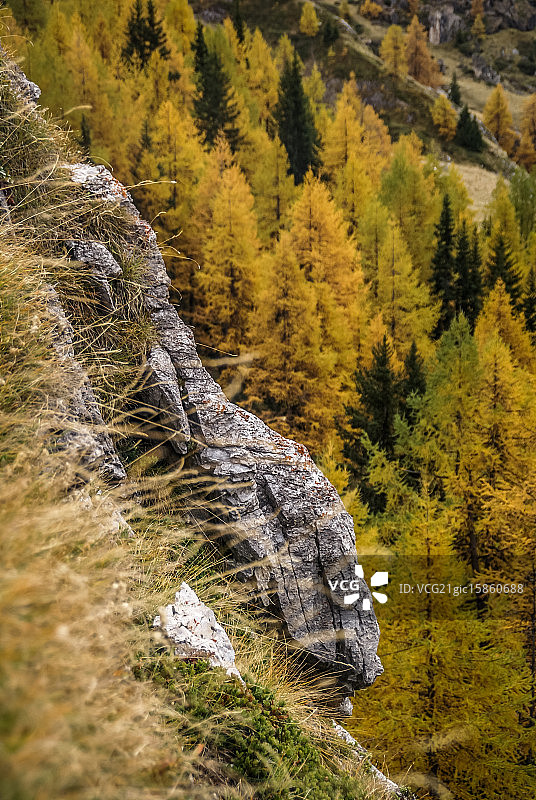 塔朗泰斯山的秋天图片素材