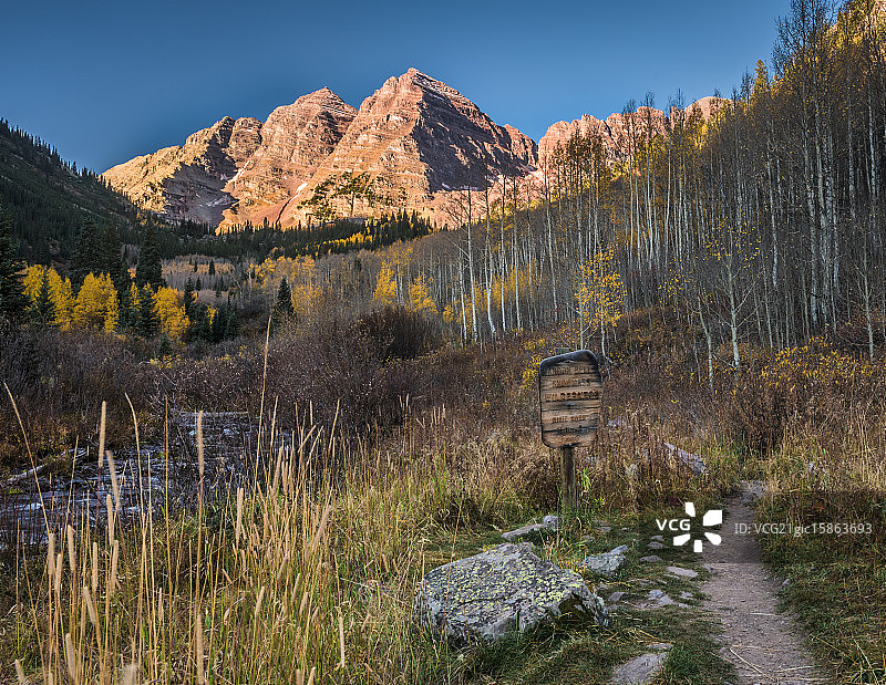 栗色钟徒步小径图片素材