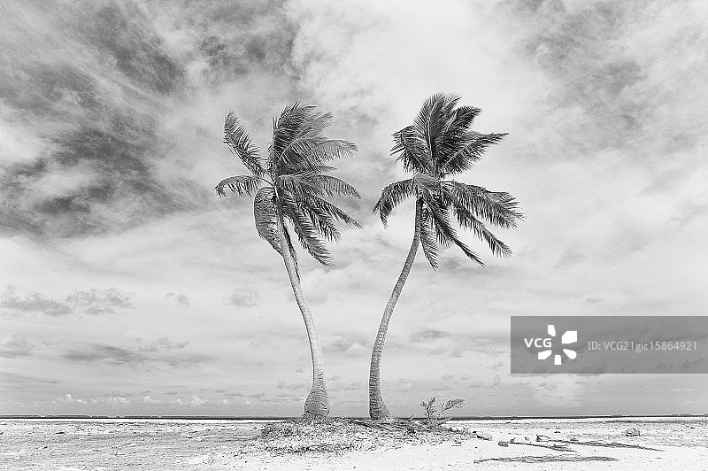 托克劳，努库诺努图片素材