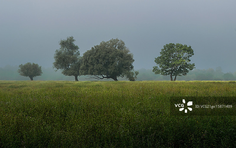 自然公园图片素材