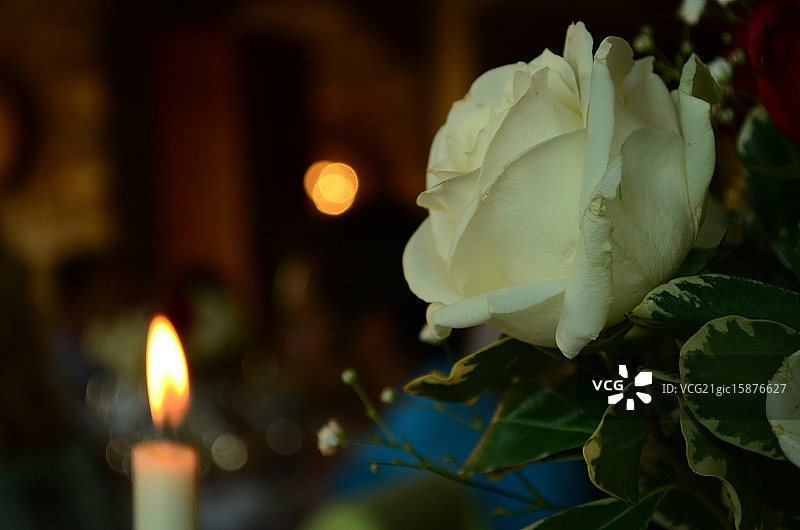 婚礼玫瑰图片素材