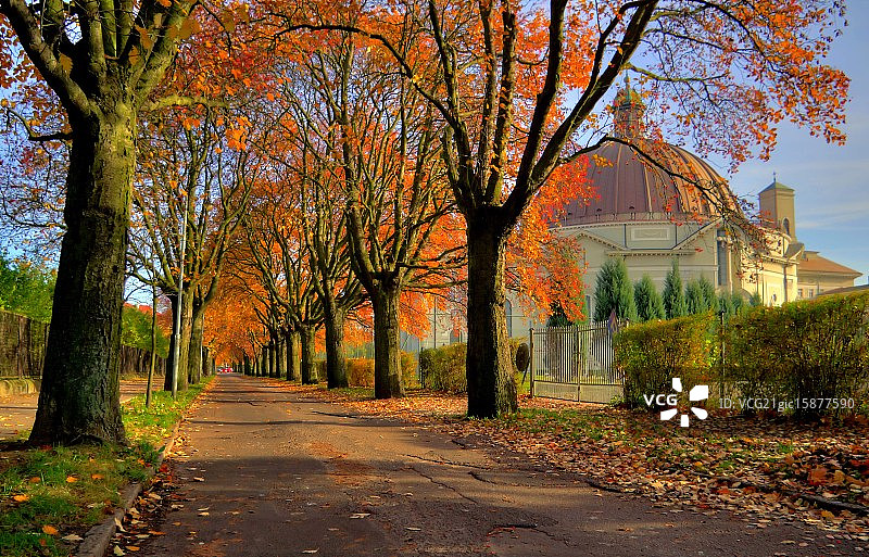 台灯的秋天图片素材