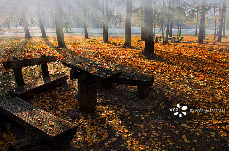 在公园里图片素材