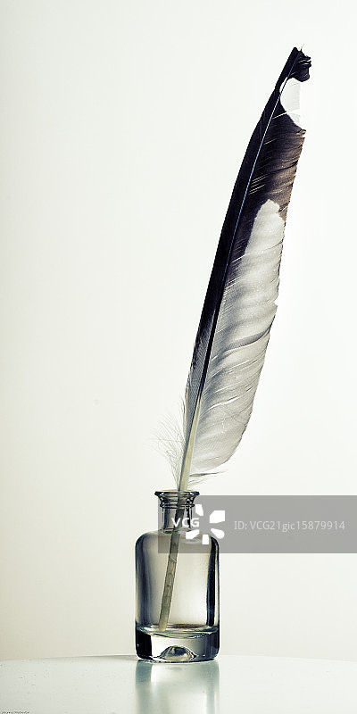 又一静物图片素材