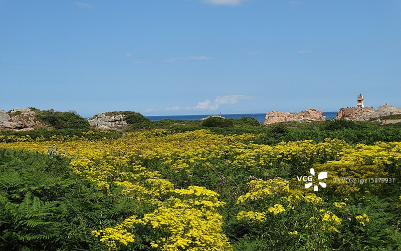 天堂海滩图片素材