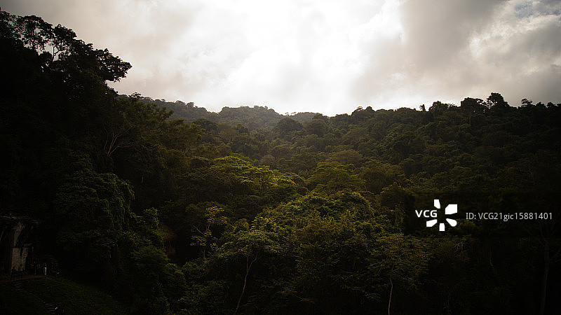 帕伦克图片素材