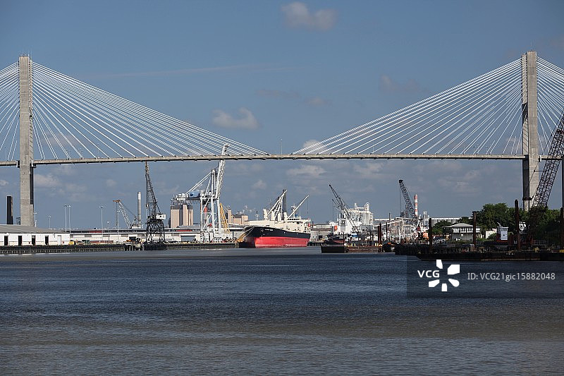 萨凡纳悬索桥图片素材