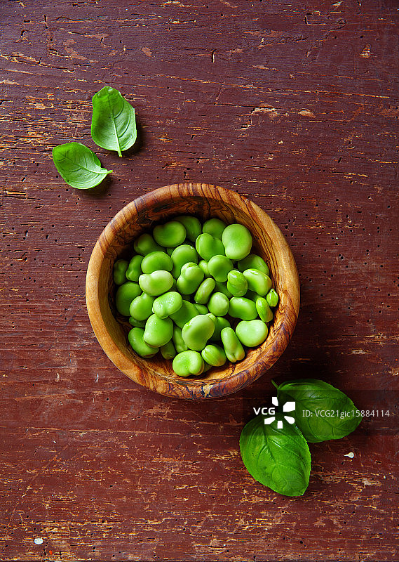 生蚕豆图片素材