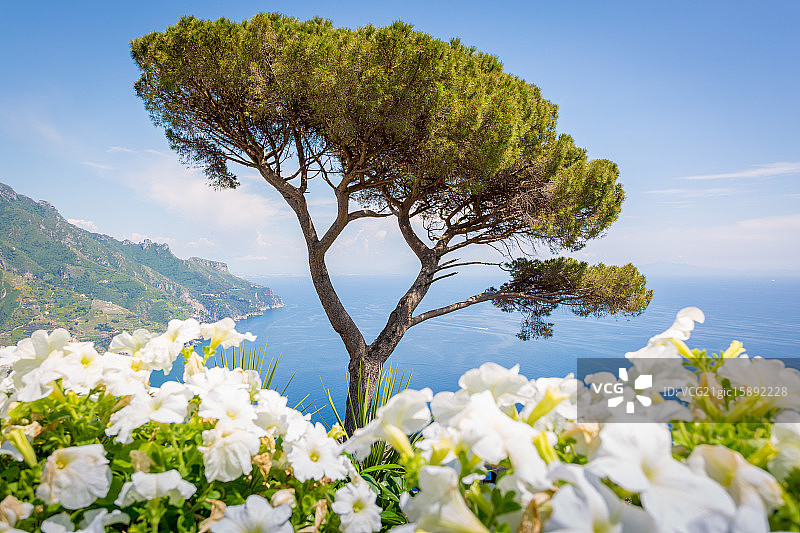 拉韦洛图片素材