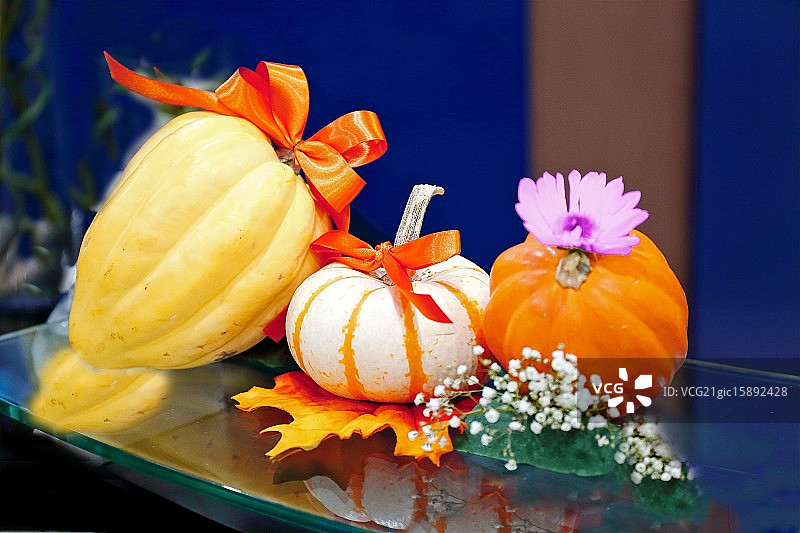 万圣节图片素材