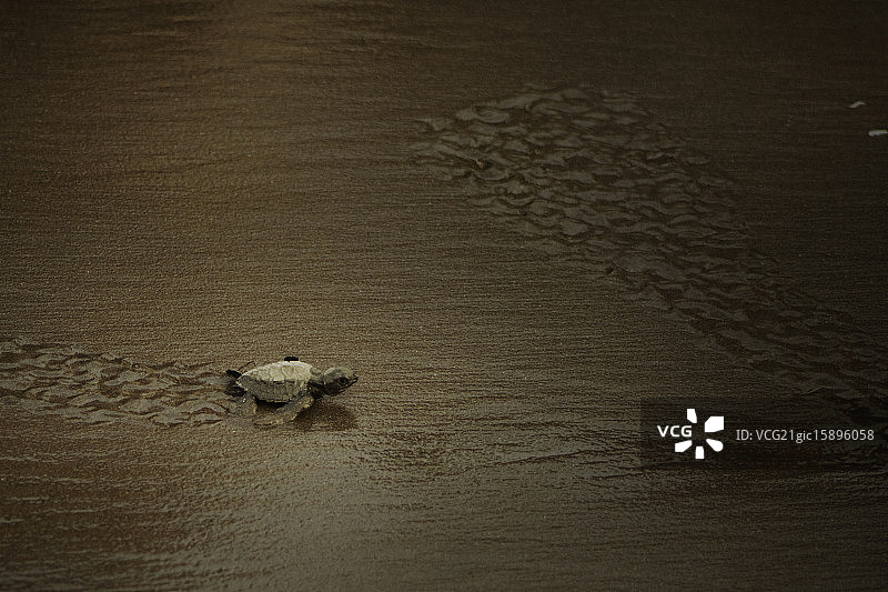 走进光芒图片素材