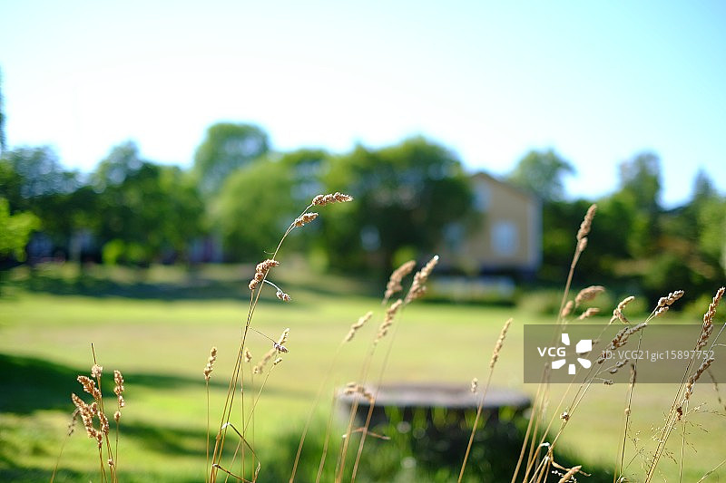 霍格萨拉的田野和房屋.JPG图片素材