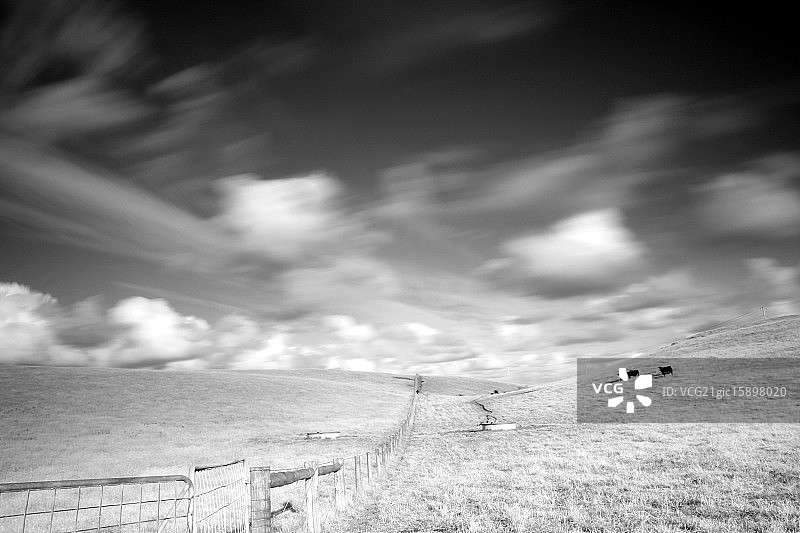 通往奶牛的栅栏图片素材
