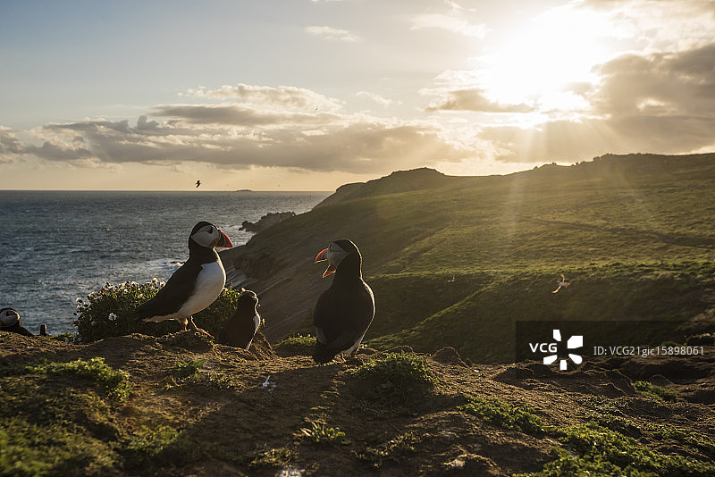 斯库莫岛日落图片素材