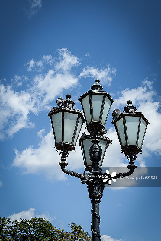 帖木儿图片素材