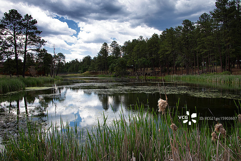 亚利桑那州白山的夏天图片素材