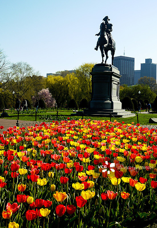 波士顿公共花园图片素材