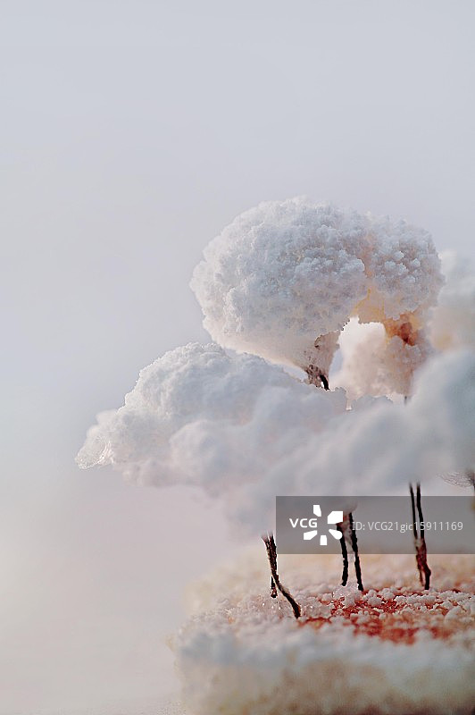 层积云（云系列）图片素材