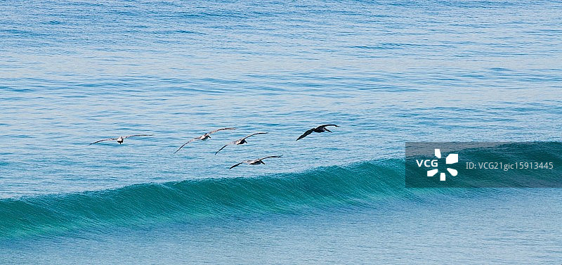 投资组合图片素材