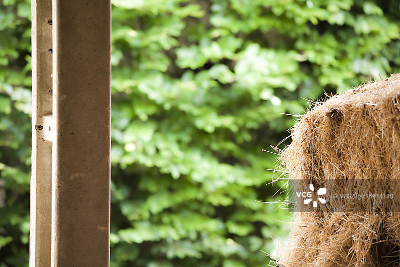 沃泽尔·格米治图片素材