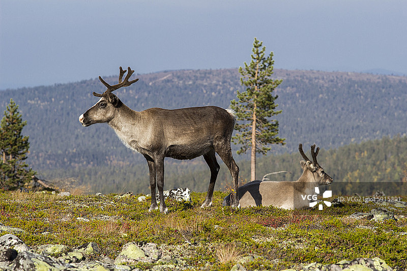 妈妈和孩子图片素材
