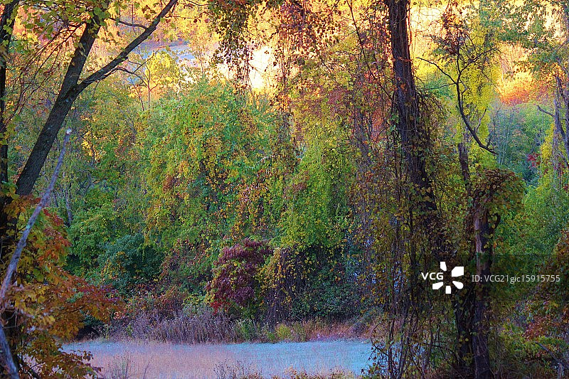 印象派的早晨图片素材