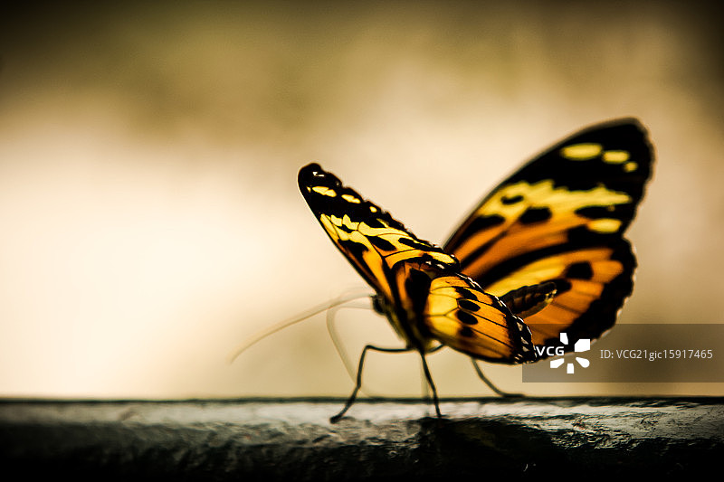 巴拉圭图片素材