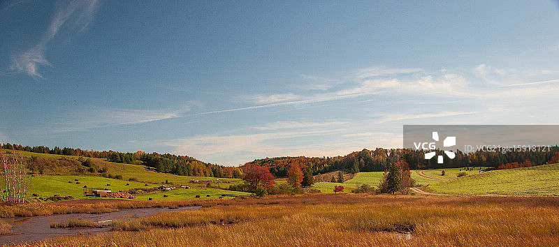 牛和乌鸦图片素材