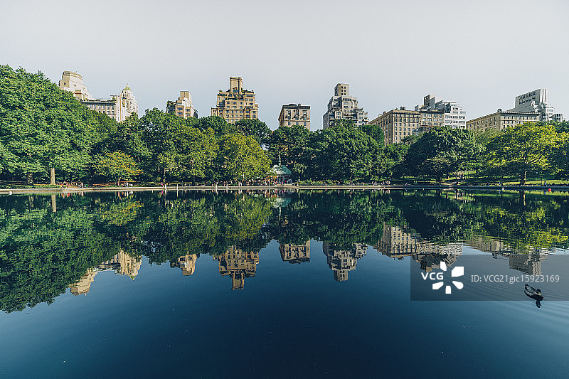 纽约曼哈顿中央公园图片素材