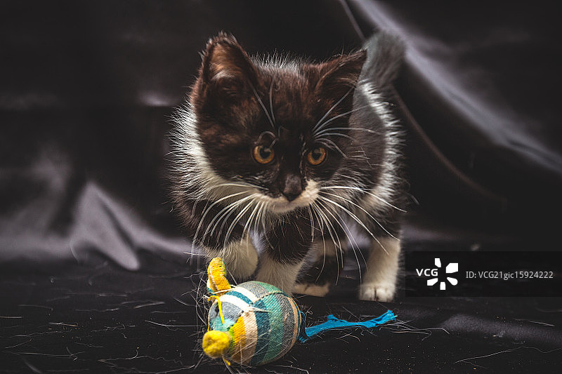 玩耍的时间图片素材