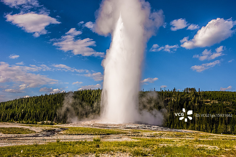 老忠实间歇泉图片素材